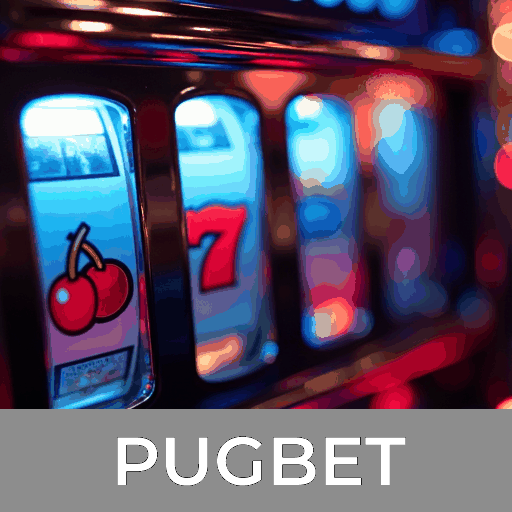 Acessar o site PUGBET COM